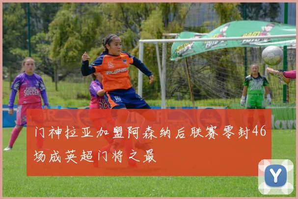 门神拉亚加盟阿森纳后联赛零封46场成英超门将之最