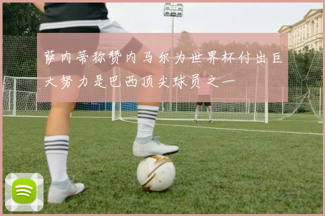 萨内蒂称赞内马尔为世界杯付出巨大努力是巴西顶尖球员之一